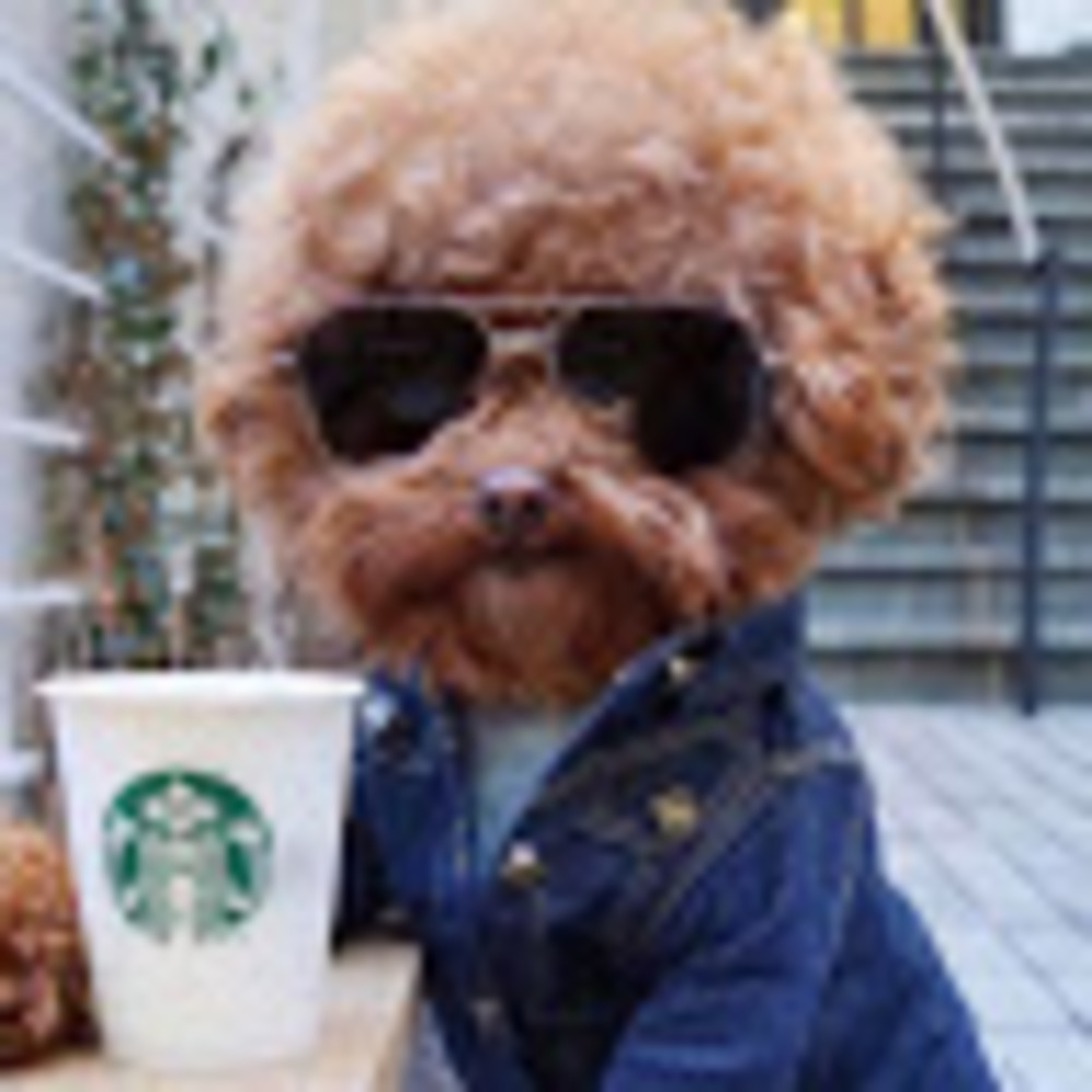 Meet your Posher, Heidi